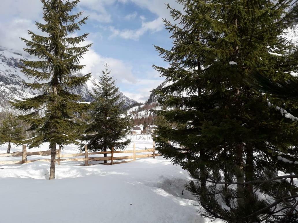 Valbona Eco Camping Hotel Exterior foto